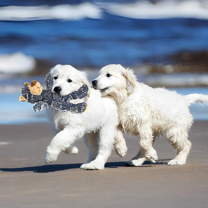 Avelena | Unzerstörbarer Robuster Bär