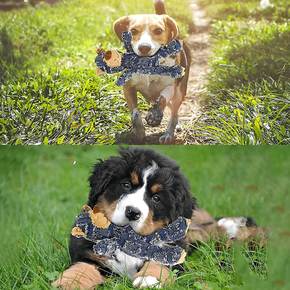 Avelena | Unzerstörbarer Robuster Bär