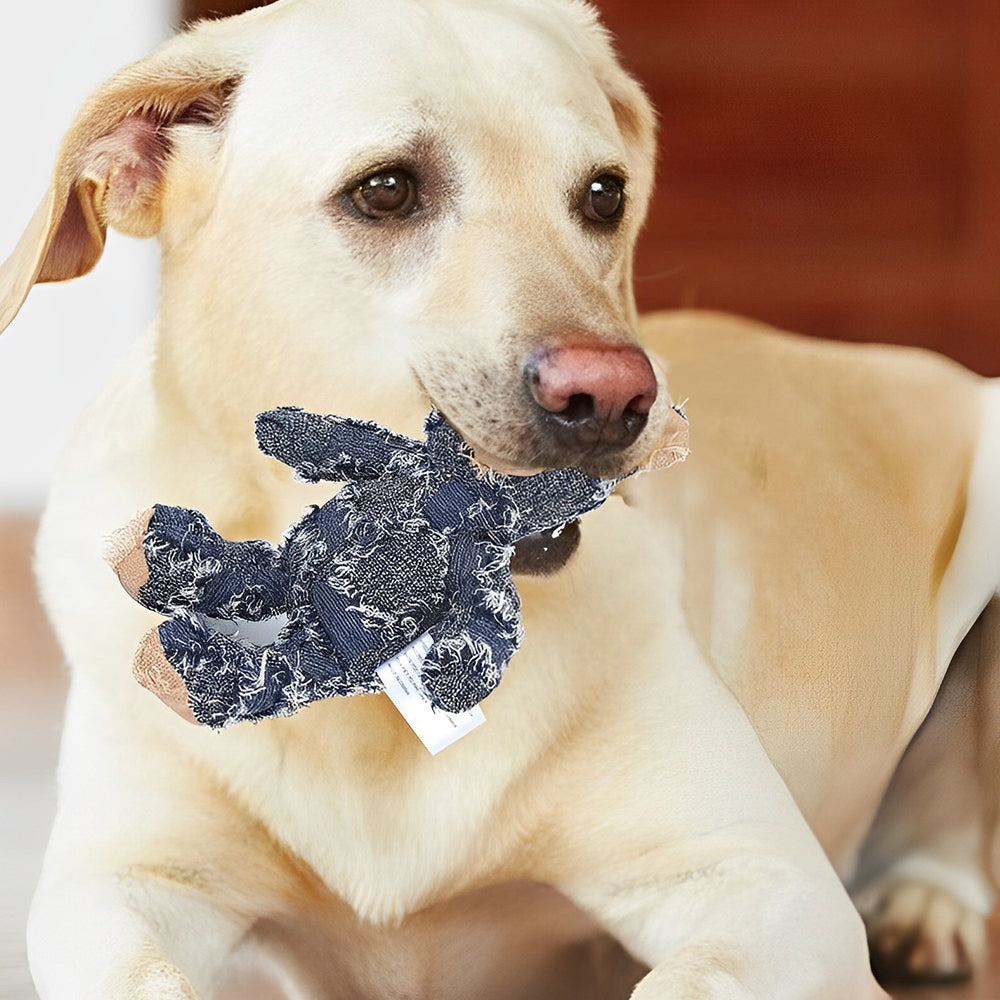 Avelena | Unzerstörbarer Robuster Bär