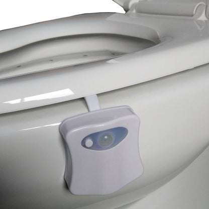Avelena | See Where You Pee Led-Toilettenbeleuchtung mit Bewegungsmelder