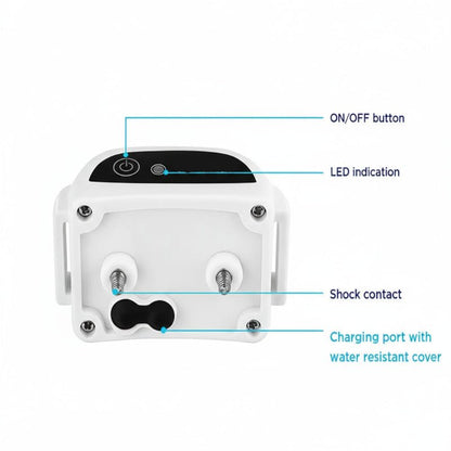 Avelena | Drahtloser Hundezäun mit Trainingsmodus für sichere Freiheit im Freien