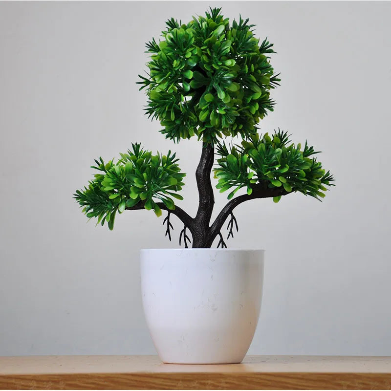 Avelena | Kleine Baumtopf Bonsai Pflanzen