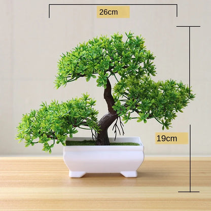Avelena | Kleine Baumtopf Bonsai Pflanzen