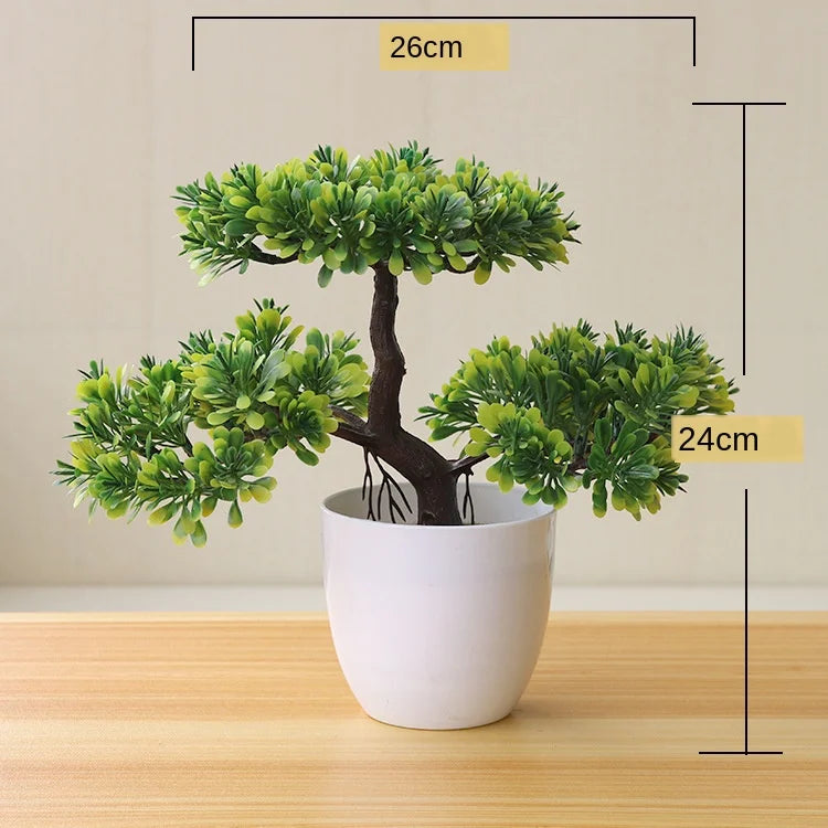 Avelena | Kleine Baumtopf Bonsai Pflanzen