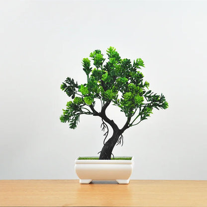 Avelena | Kleine Baumtopf Bonsai Pflanzen