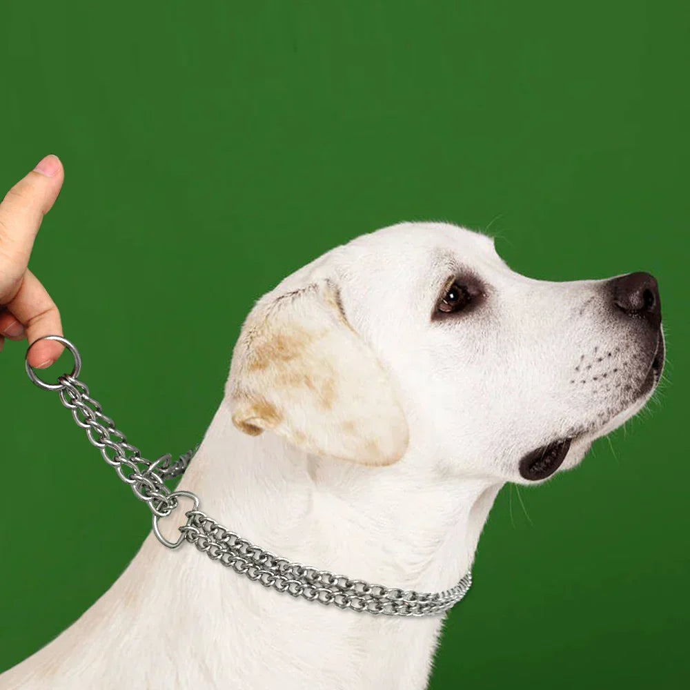 Avelena |  Edelstahl Hundetraining-Halskette