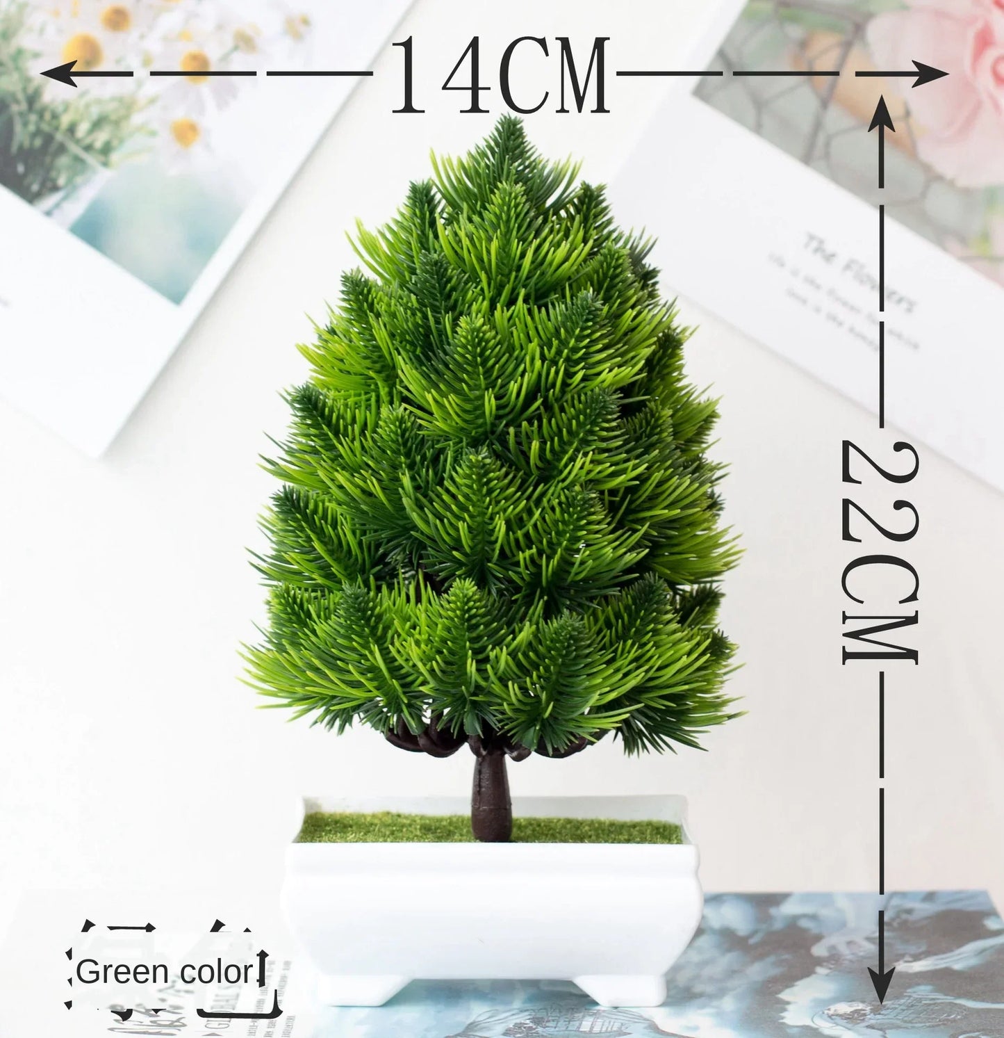 Avelena | Kleine Baumtopf Bonsai Pflanzen