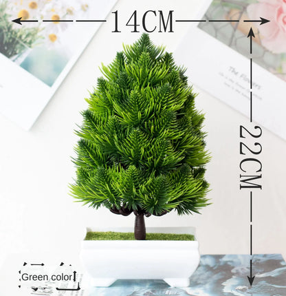 Avelena | Kleine Baumtopf Bonsai Pflanzen