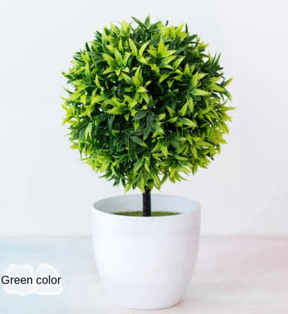 Avelena | Kleine Baumtopf Bonsai Pflanzen