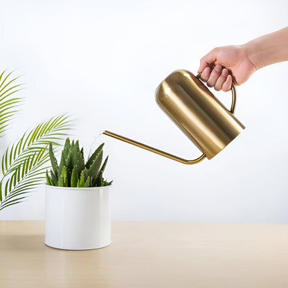 Avelena | Edelstahl-Ausgießer - 1,5L lange Gießkanne für Pflanzen und Blumen