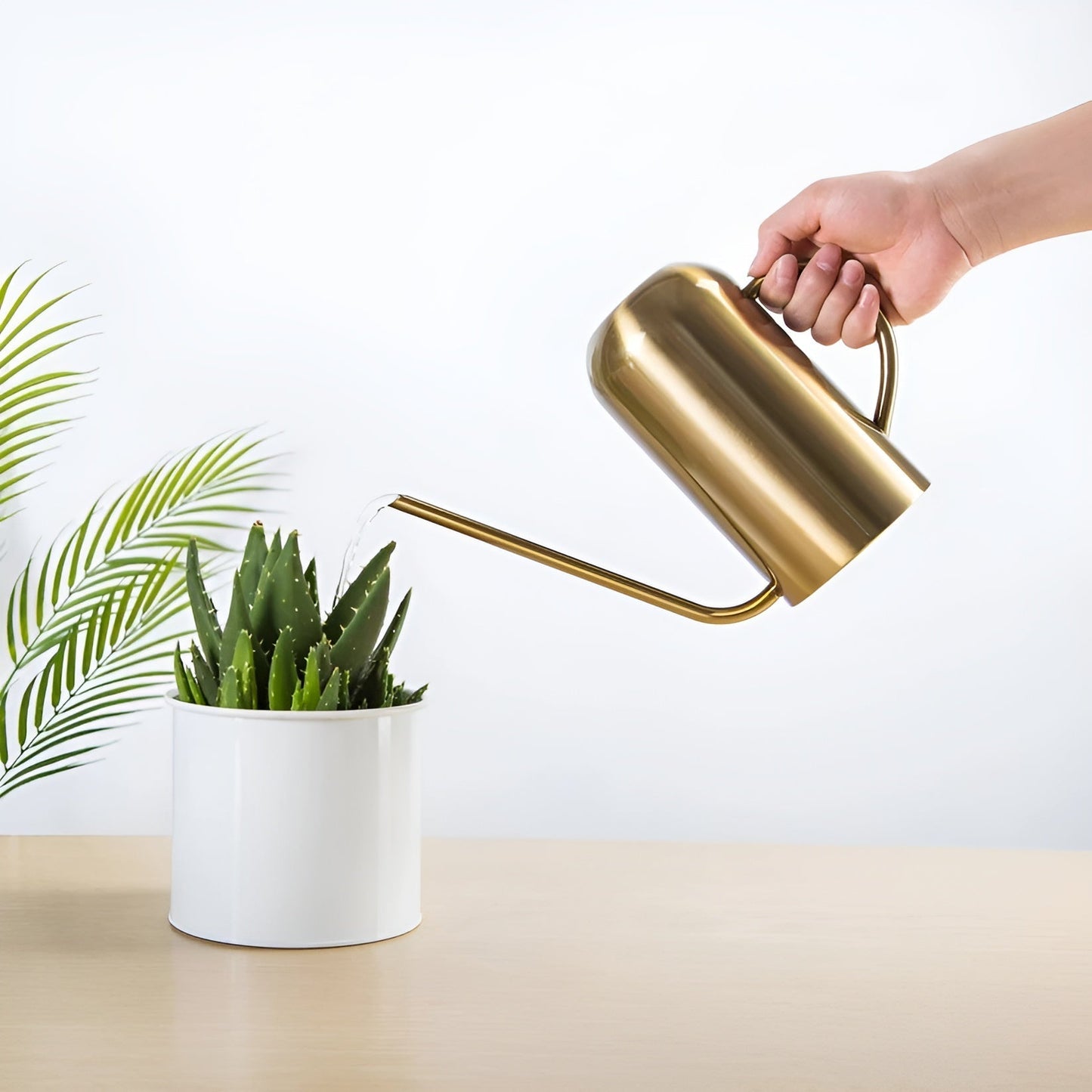 Avelena | Edelstahl-Ausgießer - 1,5L lange Gießkanne für Pflanzen und Blumen