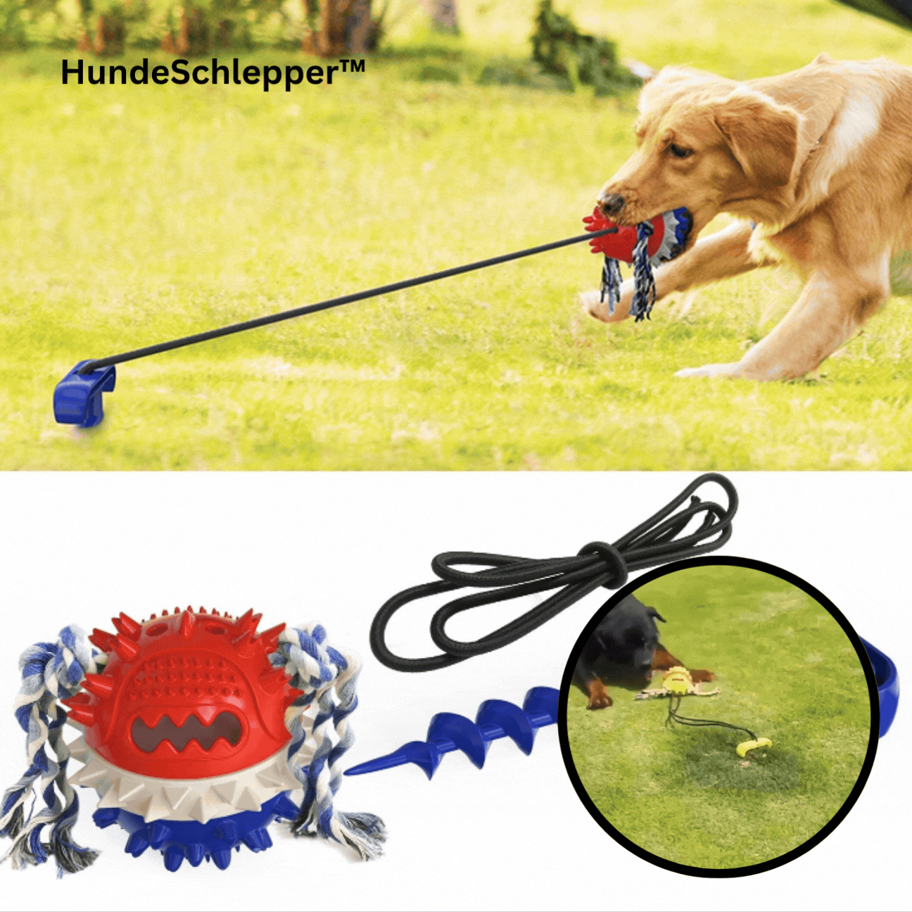 Avelena | HundeSchlepper Unendlicher Spielspaß