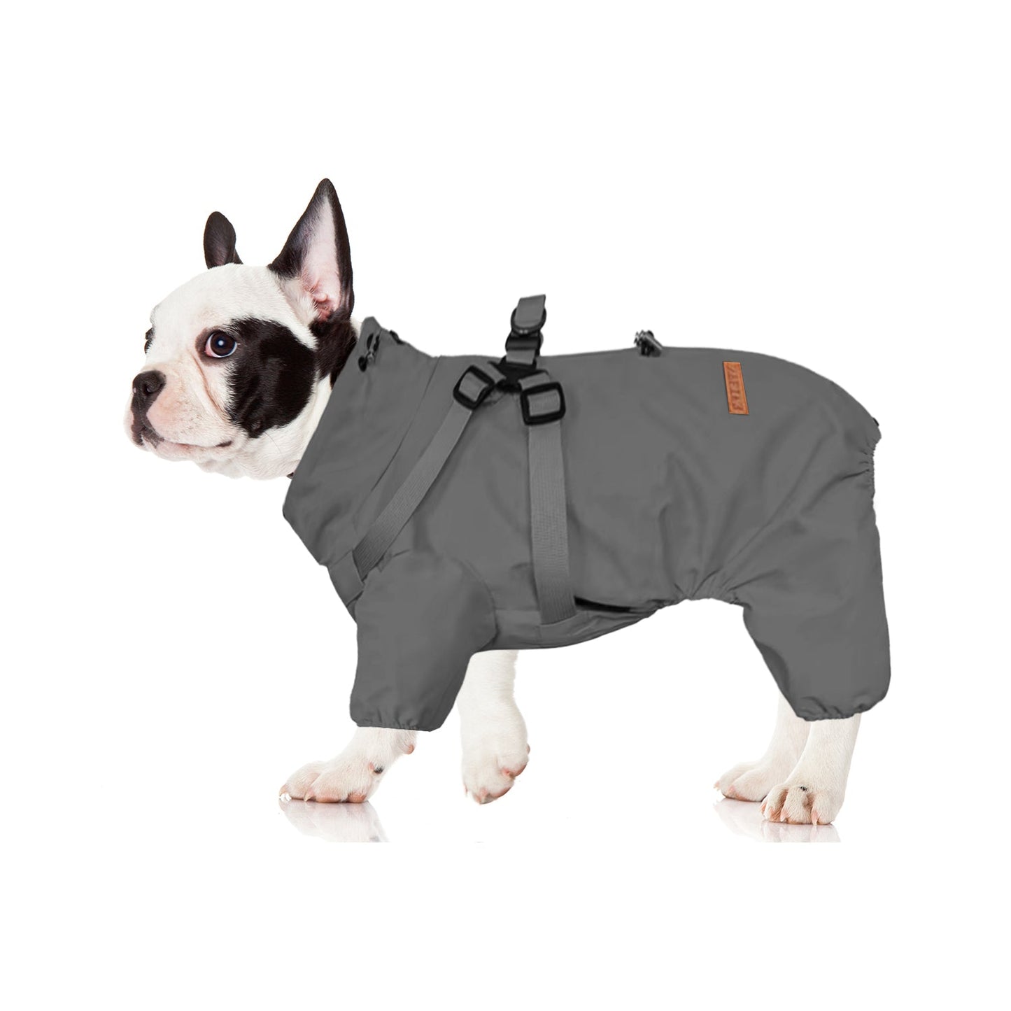 Avelena | Hydrohug Frenchie Regenmantel Mit Integriertem Geschirr Wasserdicht Reflektierend All-In-One Hundejacke