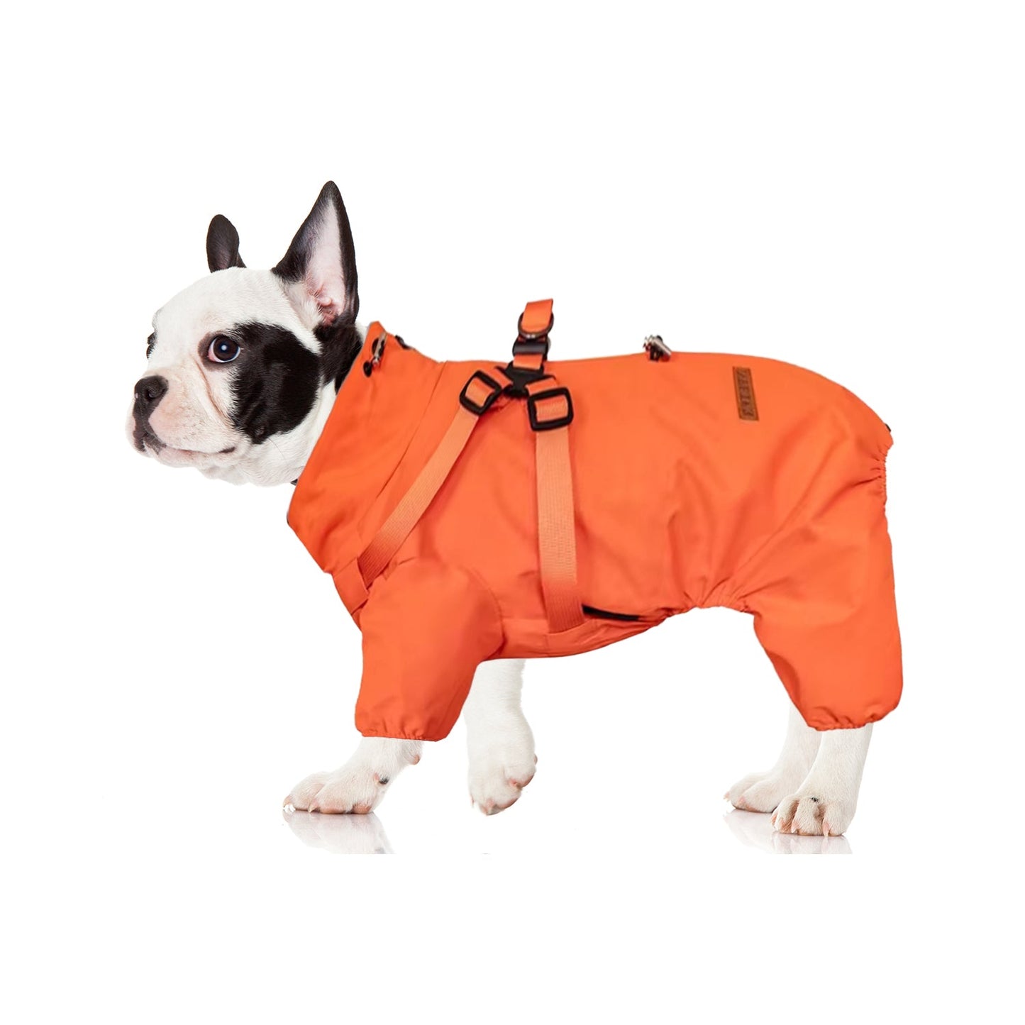 Avelena | Hydrohug Frenchie Regenmantel Mit Integriertem Geschirr Wasserdicht Reflektierend All-In-One Hundejacke