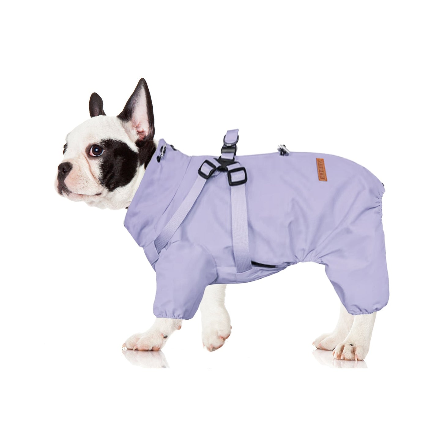 Avelena | Hydrohug Frenchie Regenmantel Mit Integriertem Geschirr Wasserdicht Reflektierend All-In-One Hundejacke