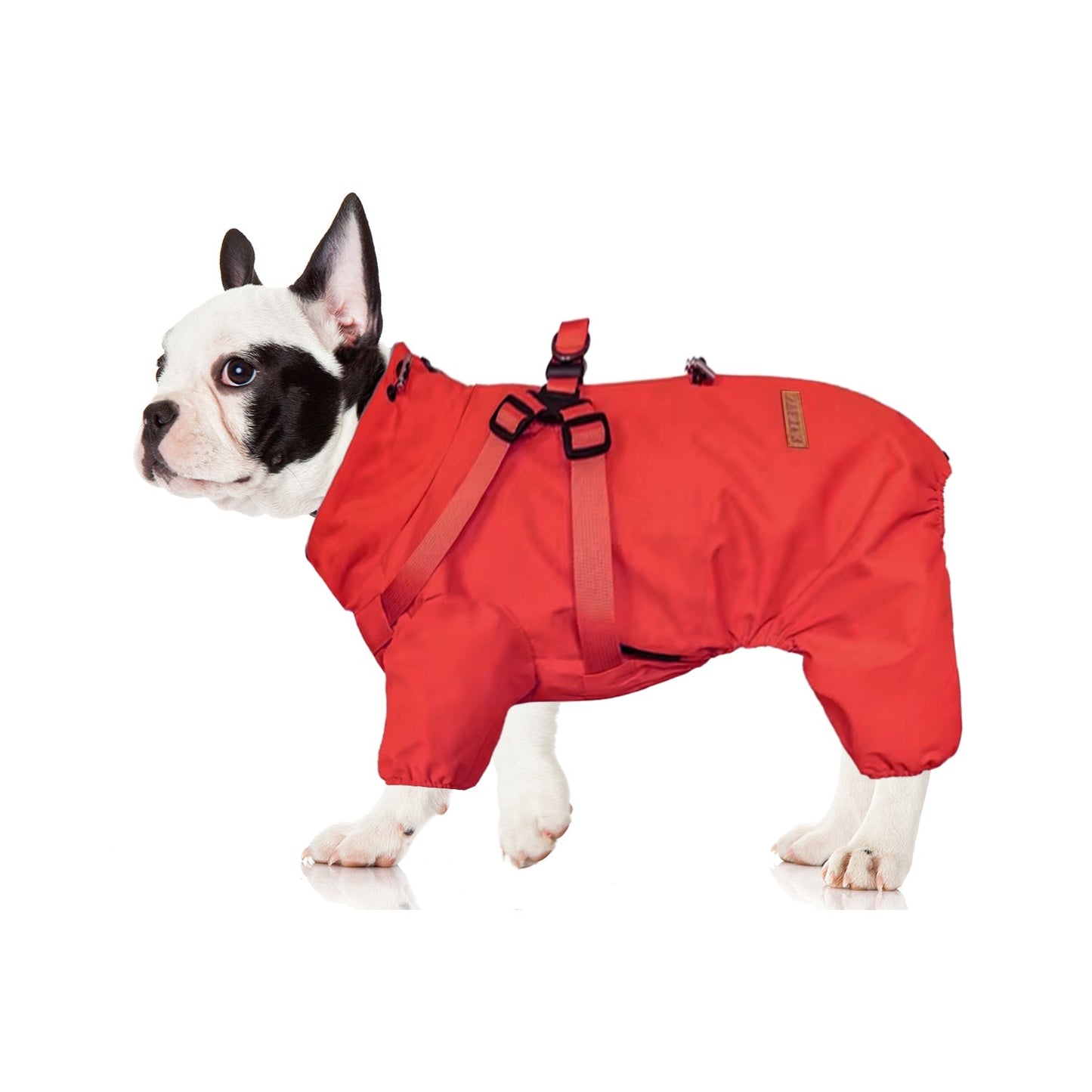 Avelena | Hydrohug Frenchie Regenmantel Mit Integriertem Geschirr Wasserdicht Reflektierend All-In-One Hundejacke