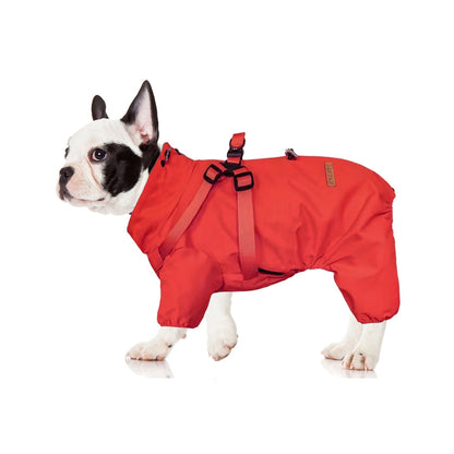 Avelena | Hydrohug Frenchie Regenmantel Mit Integriertem Geschirr Wasserdicht Reflektierend All-In-One Hundejacke