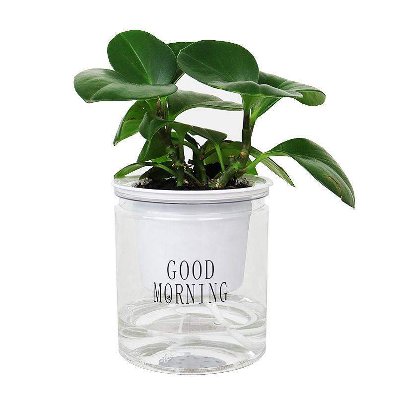 Avelena | Selbstbewässernder Topf für Zimmerpflanzen mit Good Morning Slogan