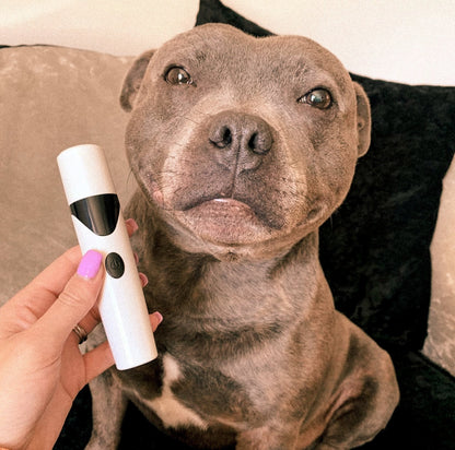 Avelena | Pedipaws Schmerzfreie & Saubere Nagelschneider für Haustiere