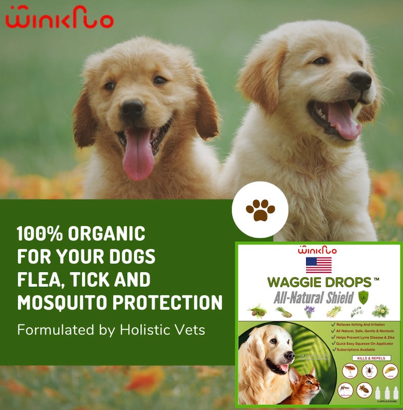 Avelena | Waggie Drops Natürliche Anti-Floh, Zecken, & Mücken Spot-On - Safest 5+ Monate Topische Schutz