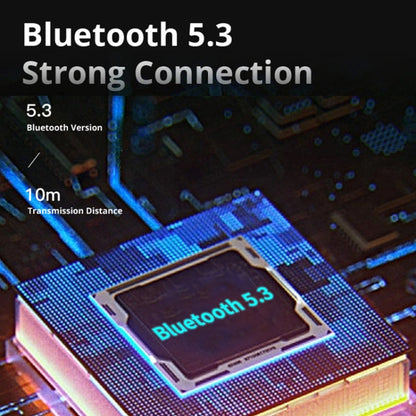 Avelena | D MOOSTER D16 Tragbarer HiFi Bluetooth 5.3 Lautsprecher, Unterstützt TF-Karte (Schwarz)