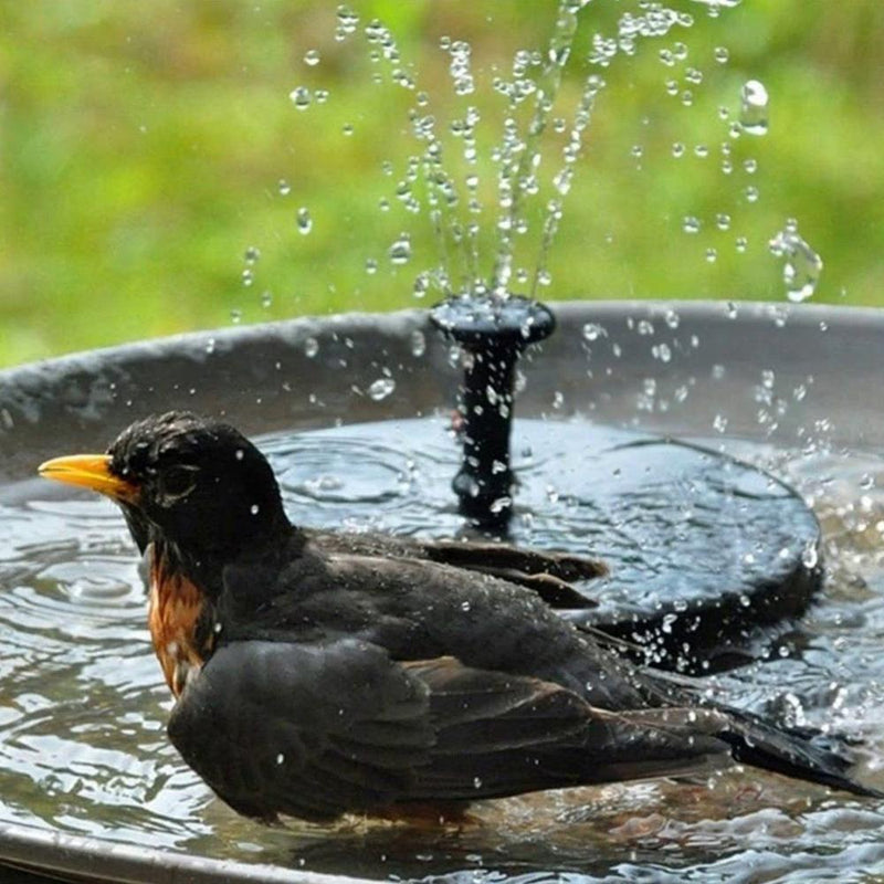 Avelena |  Solar Springbrunnen Pumpe