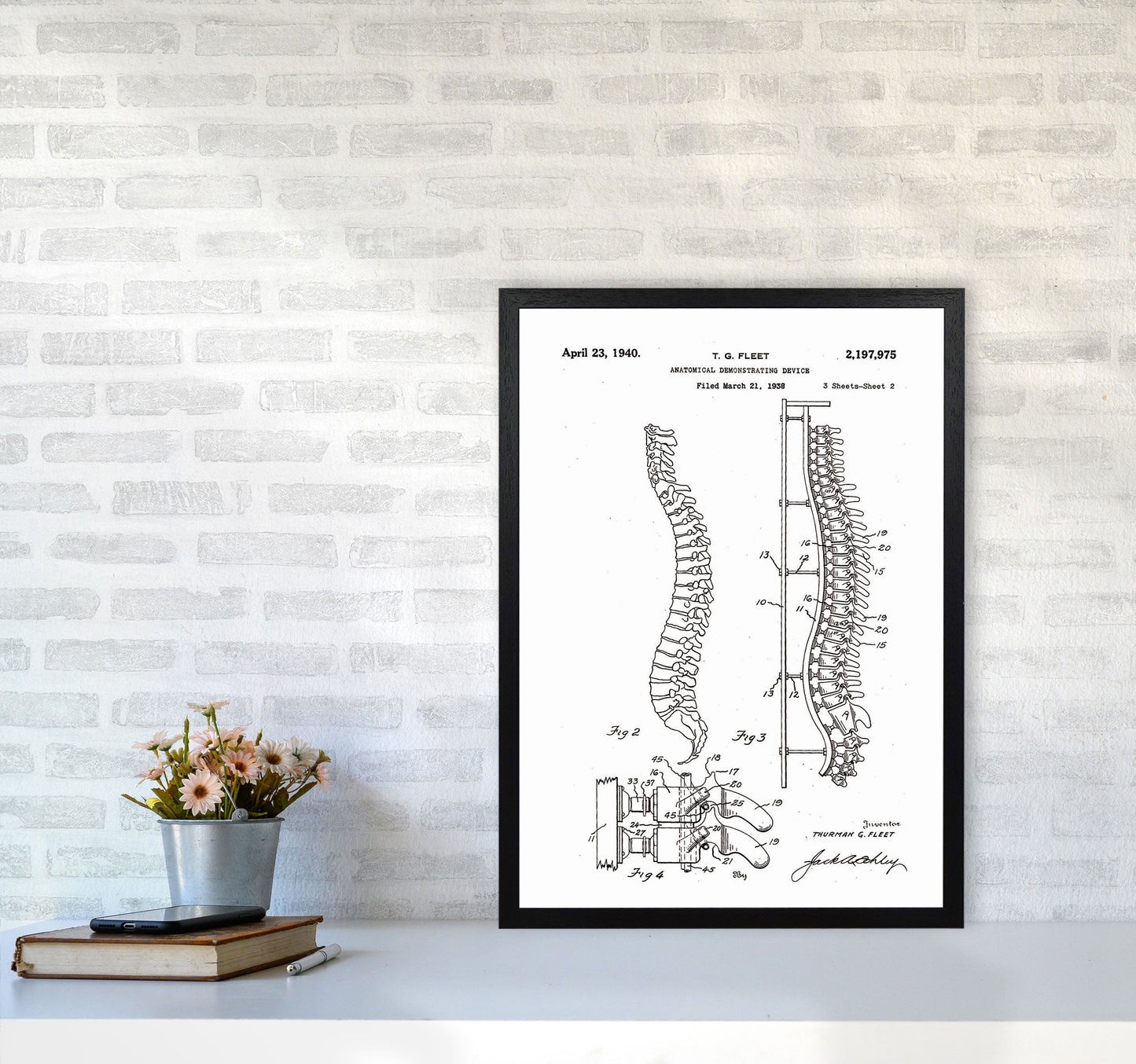 Avelena | Anatomische Wirbelsäulenansicht Patent Kunstdigitaldruck