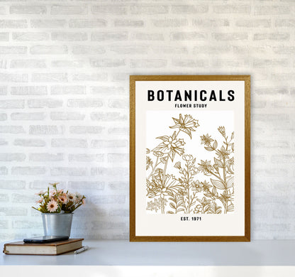 Avelena | Botanicals Flower Study II Kunstdruck