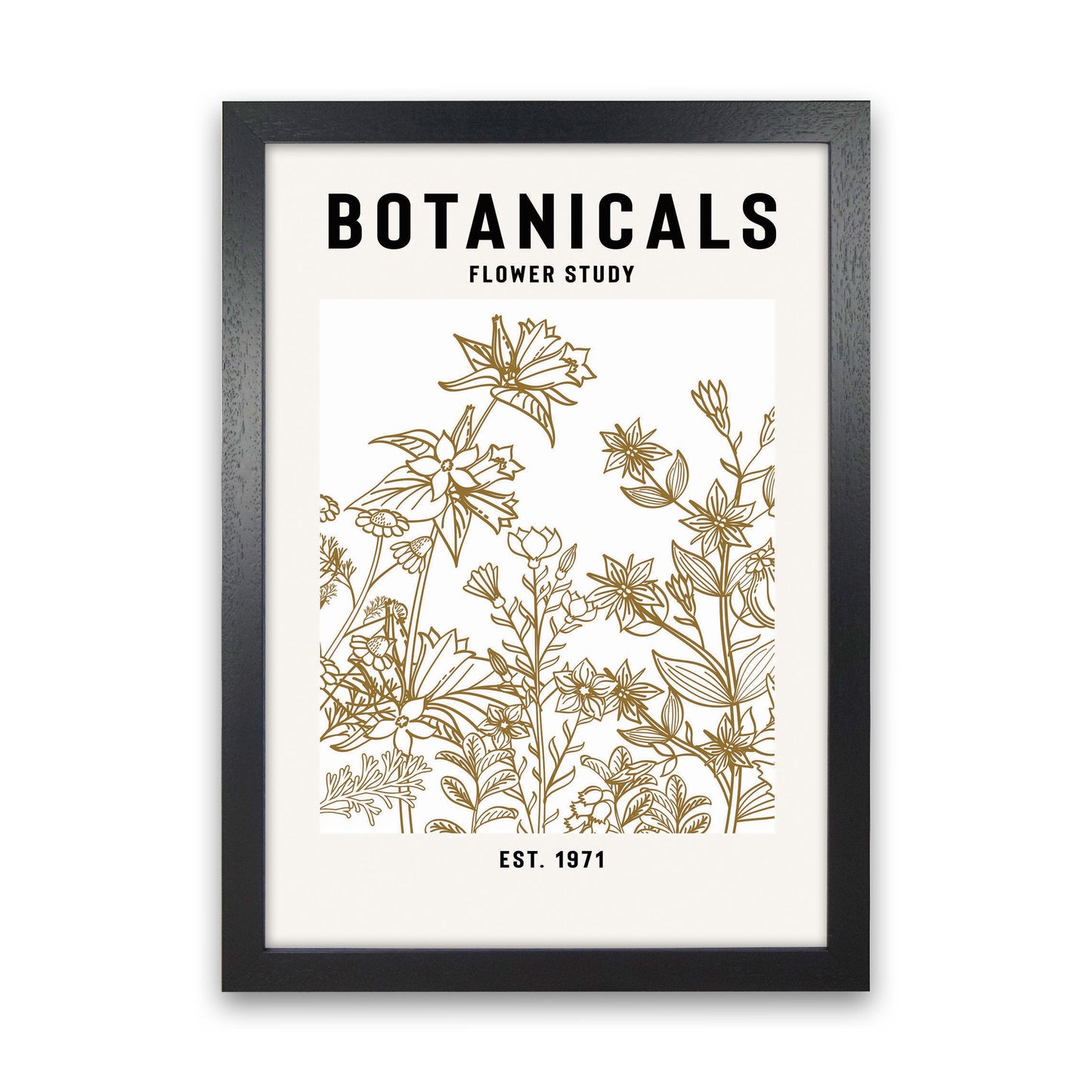 Avelena | Botanicals Flower Study II Kunstdruck