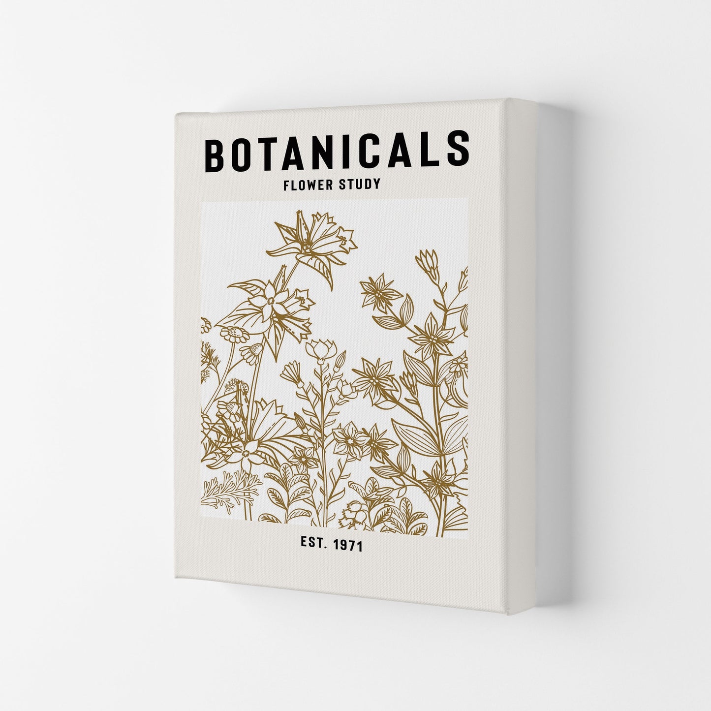 Avelena | Botanicals Flower Study II Kunstdruck