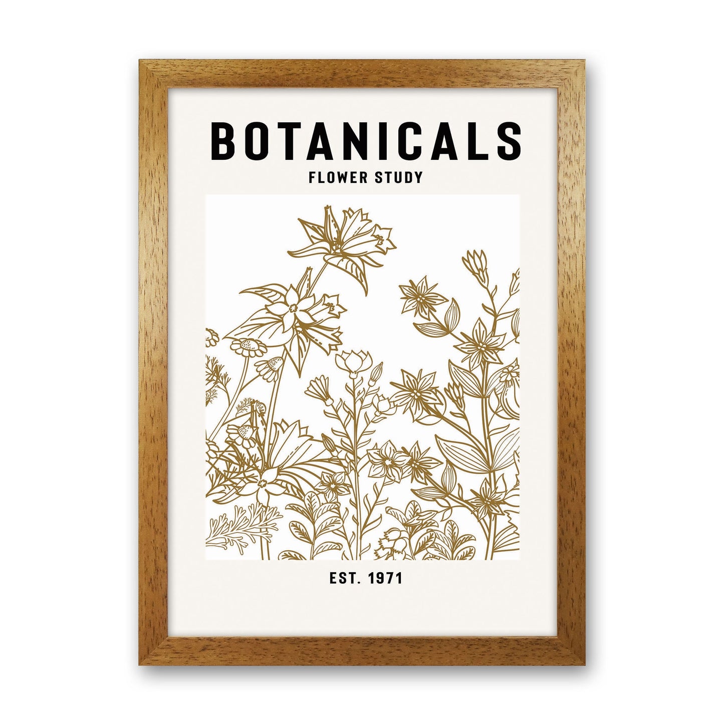 Avelena | Botanicals Flower Study II Kunstdruck