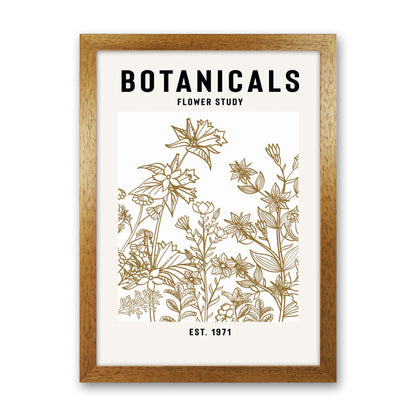Avelena | Botanicals Flower Study II Kunstdruck
