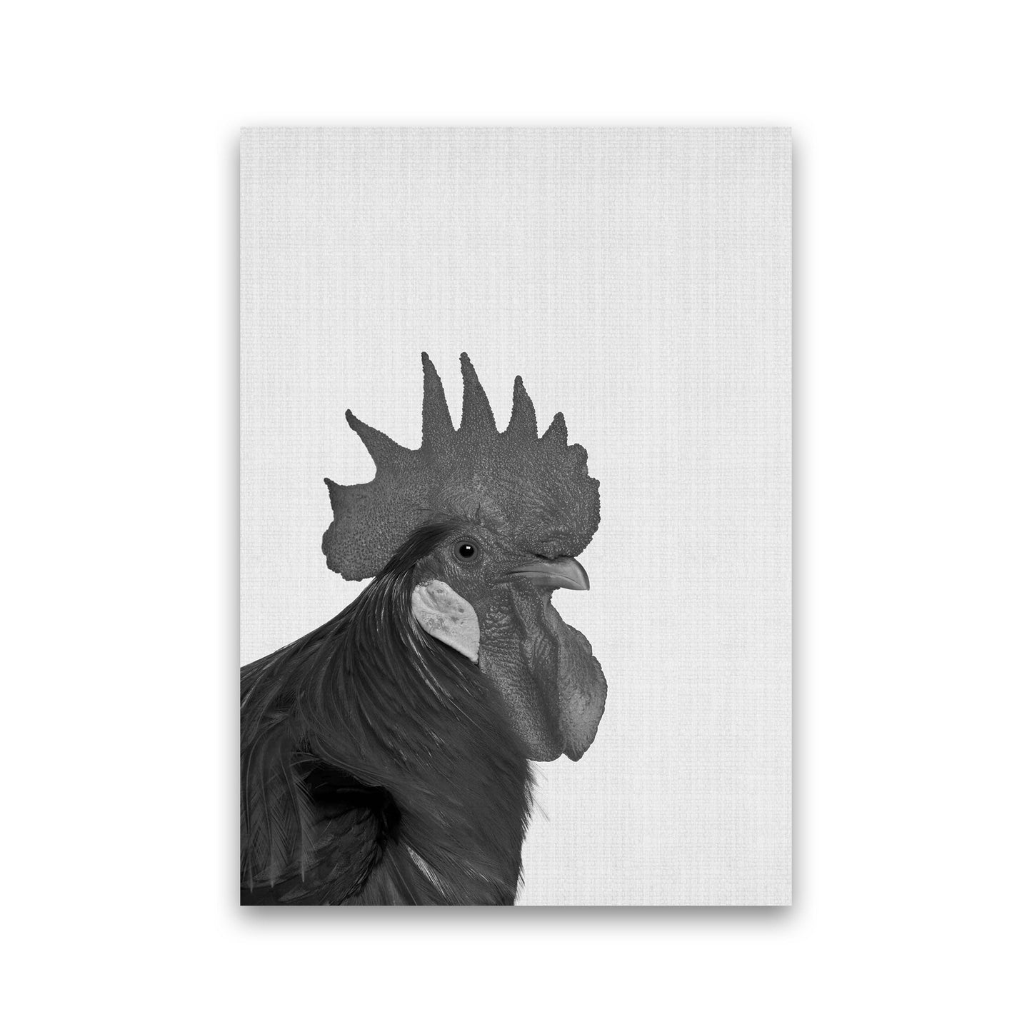 Avelena | Cock A Doodle Doo Kunstdruck