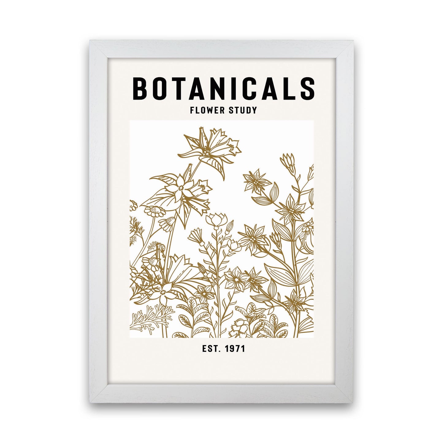Avelena | Botanicals Flower Study II Kunstdruck