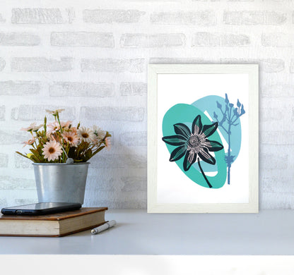 Avelena | Clematis & Jakobskreuzkraut Postkarte Kunstdokument