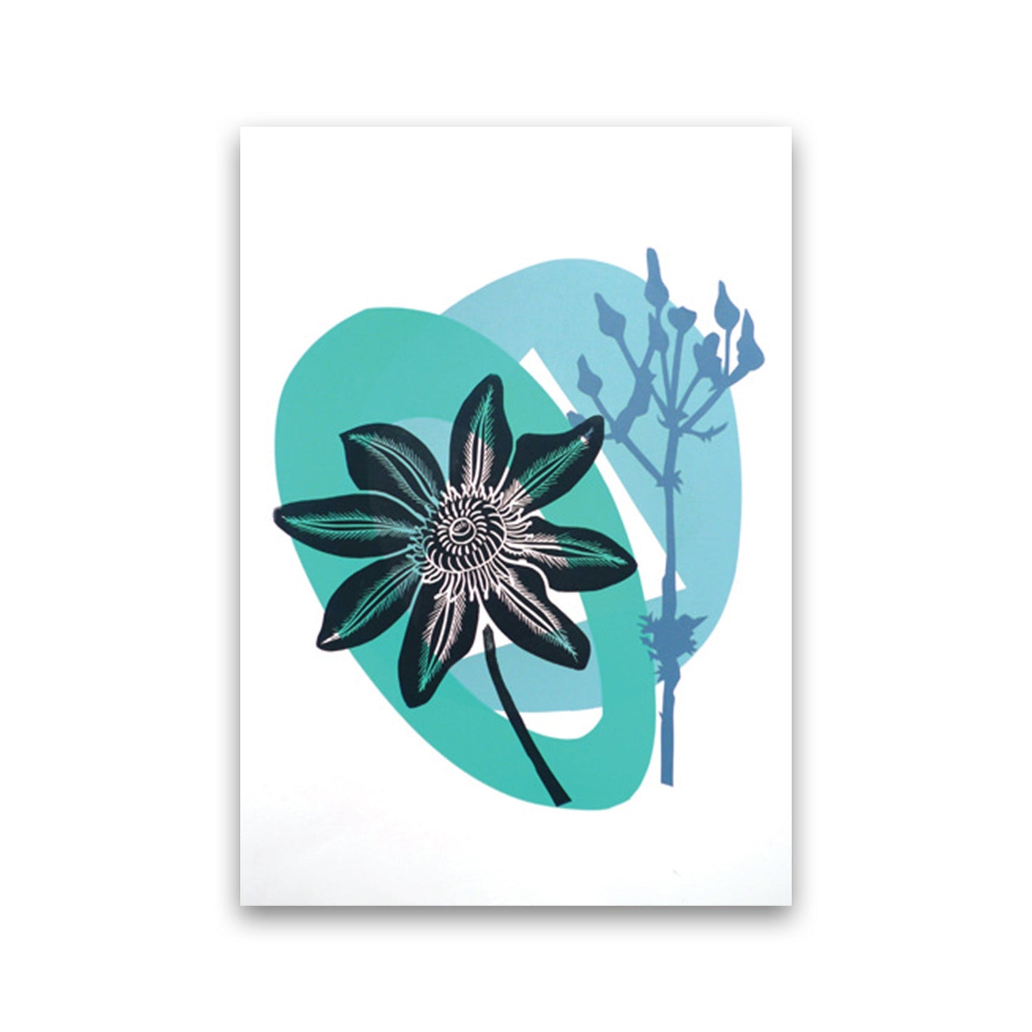 Avelena | Clematis & Jakobskreuzkraut Postkarte Kunstdokument