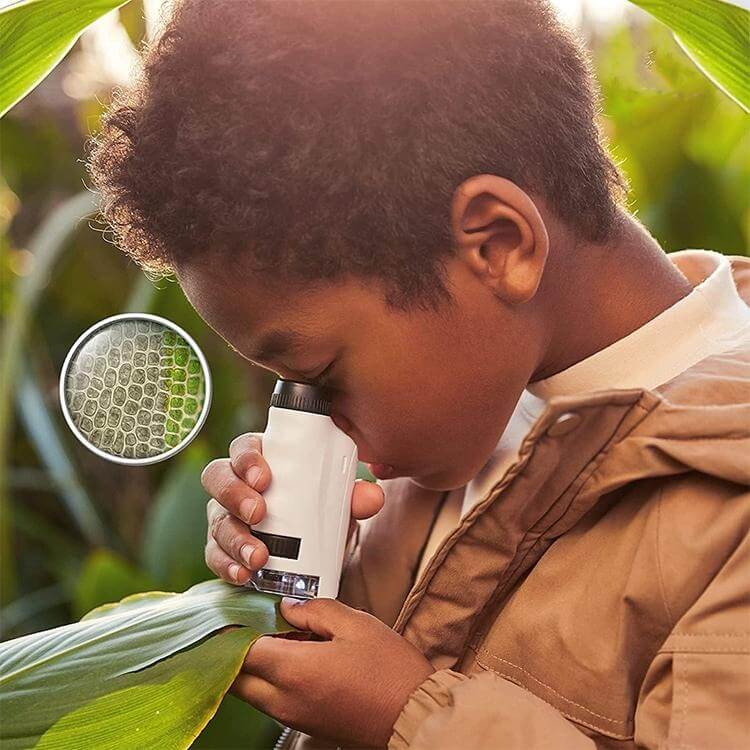 Avelena | Tragbare Tasch-Mikroskop mit 60-120X Zoom Bildungsmikroskop für Kinder Lass Sie Entdecken