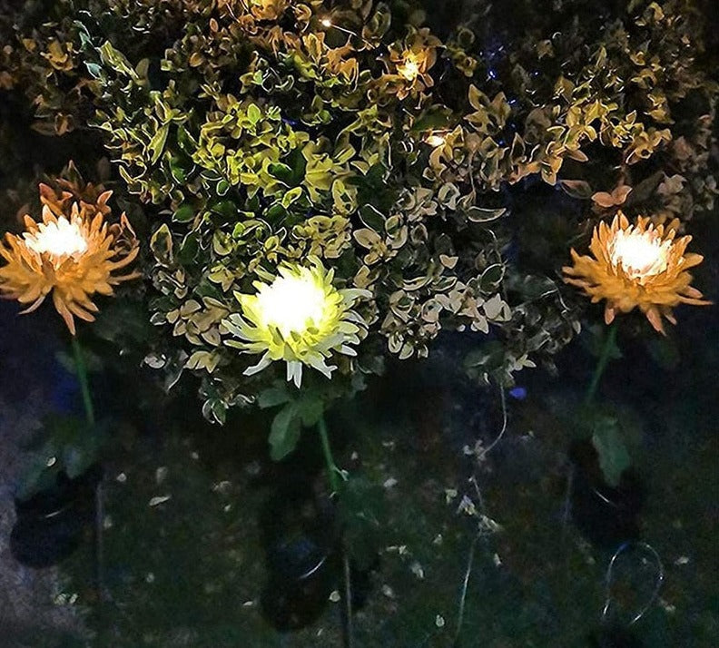 Avelena | Chrysantheme  Led Solarleuchte