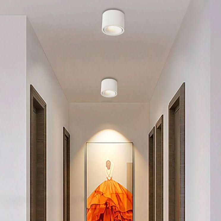 Avelena | Minimalistische LED Deckenleuchte mit verstellbarem Spot