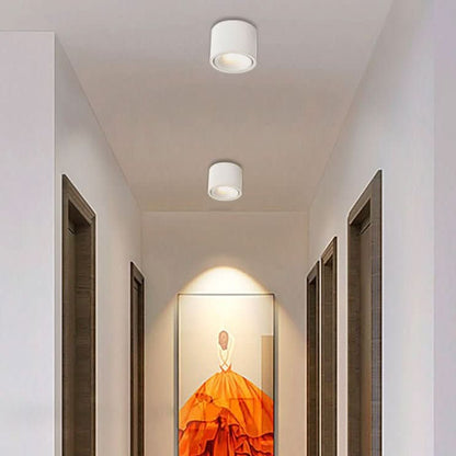 Avelena | Minimalistische LED Deckenleuchte mit verstellbarem Spot