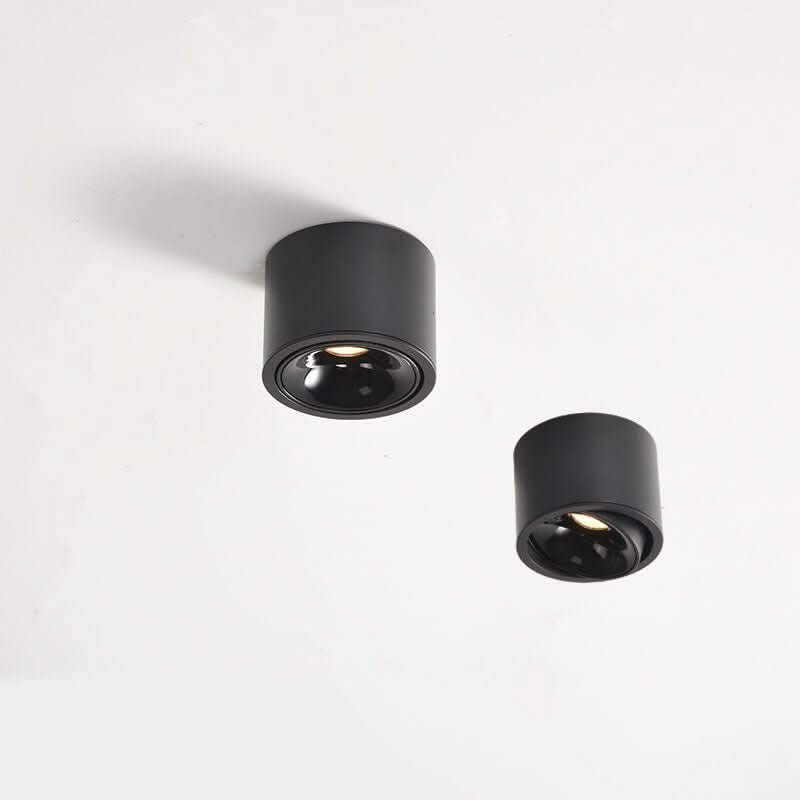 Avelena | Minimalistische LED Deckenleuchte mit verstellbarem Spot