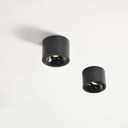 Avelena | Minimalistische LED Deckenleuchte mit verstellbarem Spot