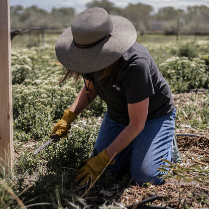 Avelena | DigForce | Gartenwerkzeug – Multifunktionale Präzision für den Außenbereich