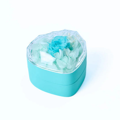 Avelena | MiniSchatzblüte Kompakte Liebe Memento