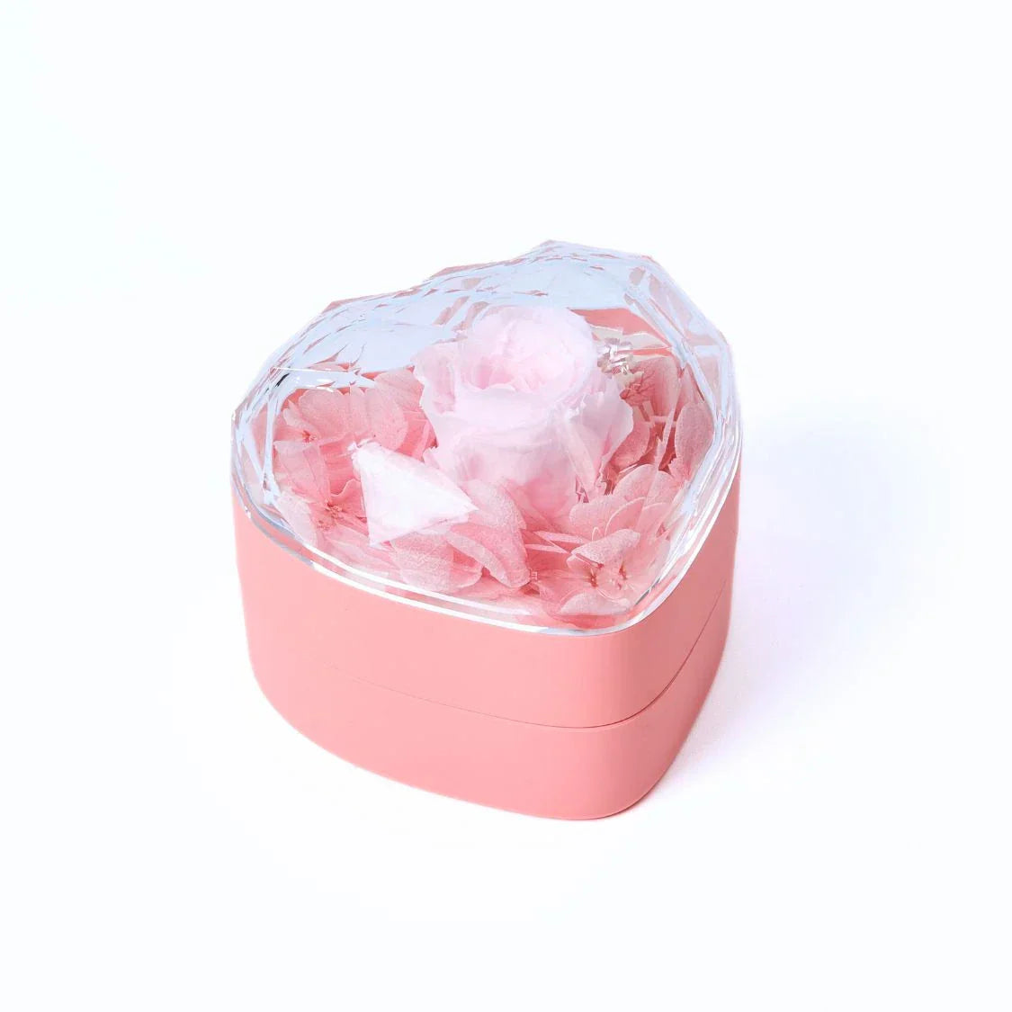 Avelena | MiniSchatzblüte Kompakte Liebe Memento