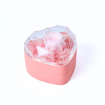 Avelena | MiniSchatzblüte Kompakte Liebe Memento