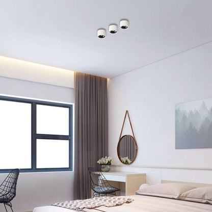 Avelena | Minimalistische Deckenleuchte mit verstellbarem Lichtspot