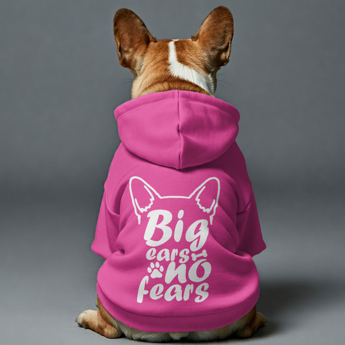 Avelena | Große Ohren, Keine Angst Personalisierte Französische Bulldogge Hoodies Mit Lustigen Zitaten – Stilvoll, Gemütlich Und Premium 100% Baumwolle