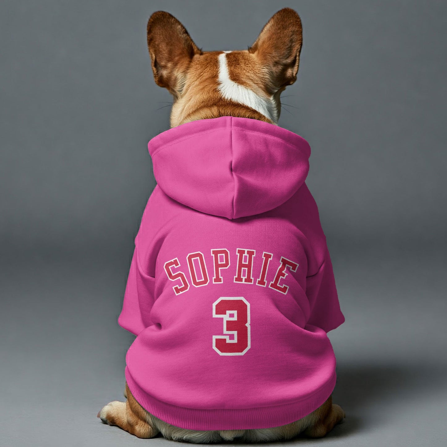 Avelena | Frenchie Bulls Personalisierte French Bulldog Hoodies Mit Individuell Gestaltetem Namen Und Nummer Für Basketballliebhaber – Premium 100% Baumwolle