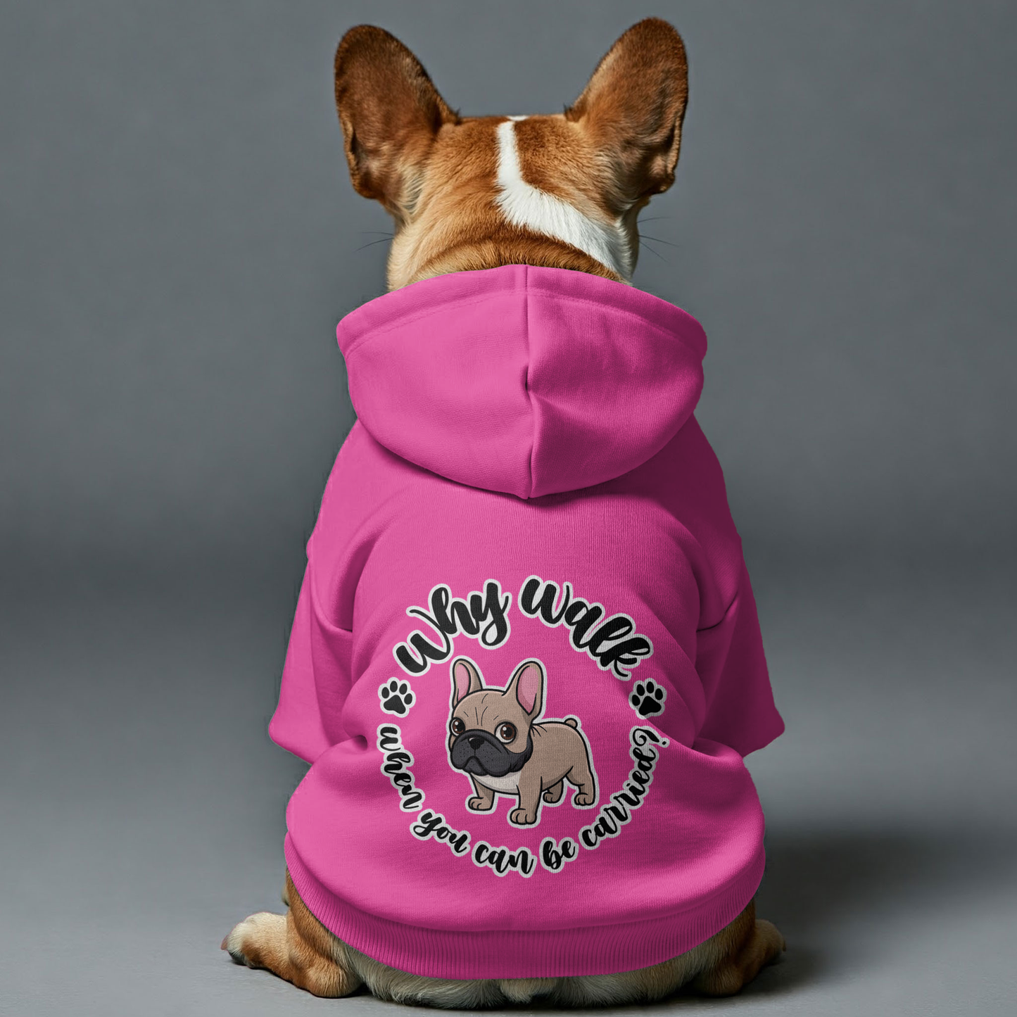 Avelena | Warum Laufen, Wenn Man Getragen Werden Kann? Personalisierte Französische Bulldoggen Hoodies Mit Lustigen Sprüchen – Stylisch, Gemütlich Und Premium 100% Baumwolle